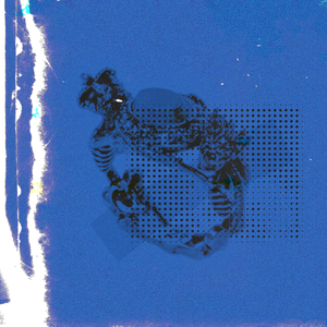 婷婷中文字幕在线观看
